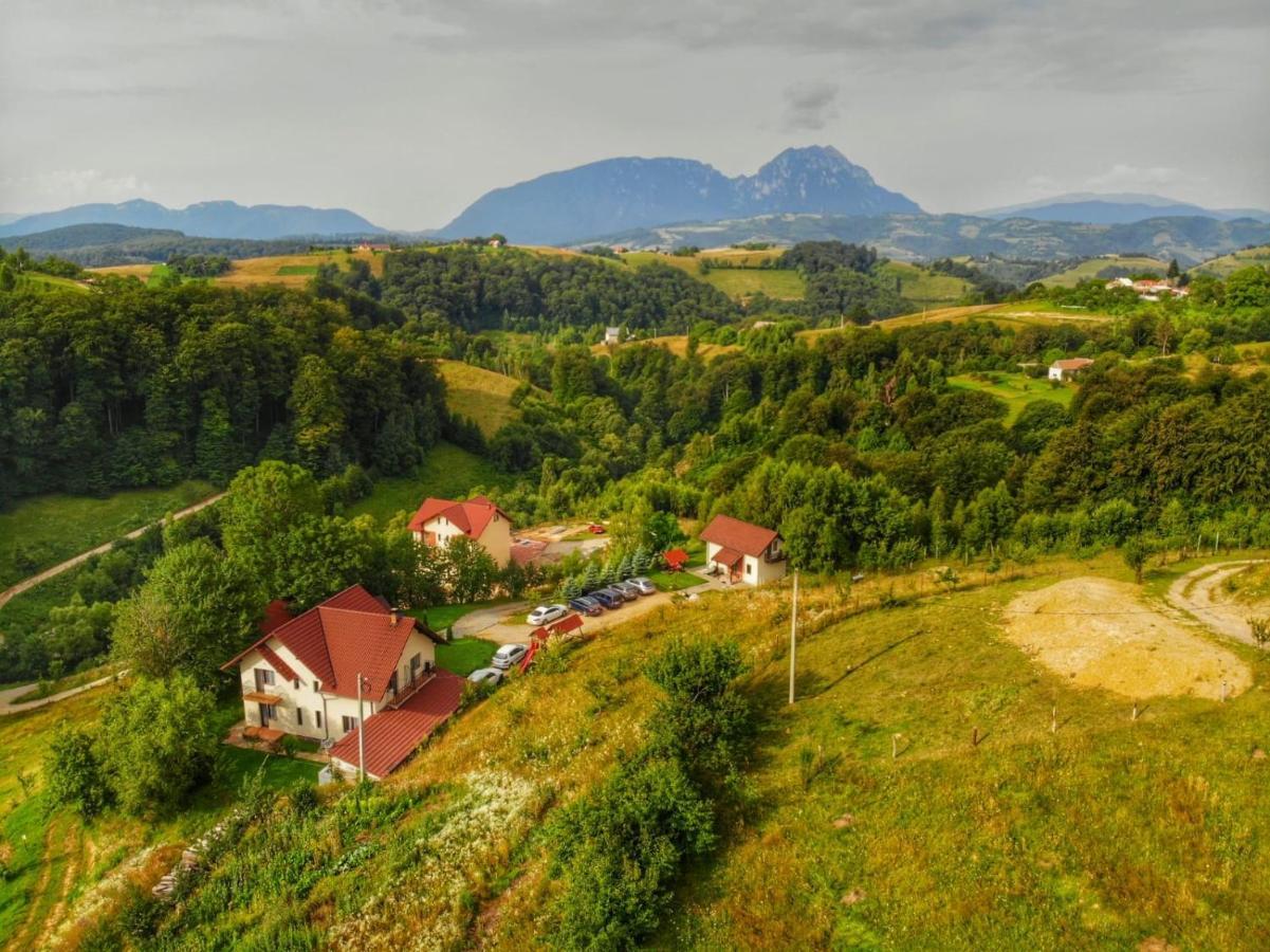 Cabana 7 Brazi Poiana Mărului Eksteriør bilde