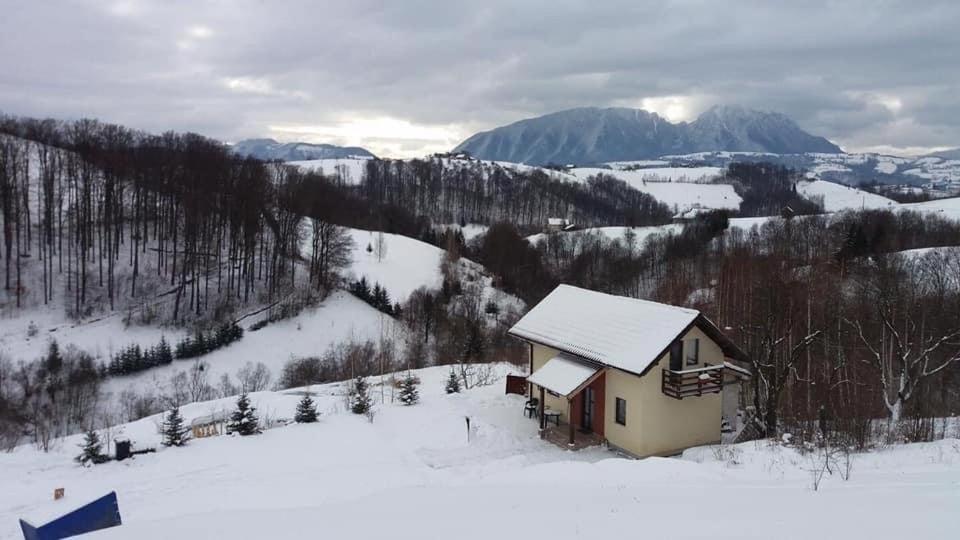 Cabana 7 Brazi Poiana Mărului Eksteriør bilde