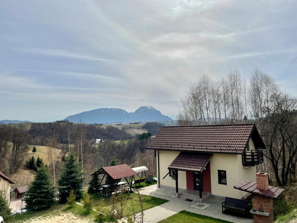 Cabana 7 Brazi Poiana Mărului Eksteriør bilde