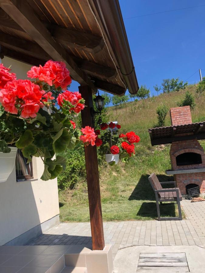 Cabana 7 Brazi Poiana Mărului Eksteriør bilde