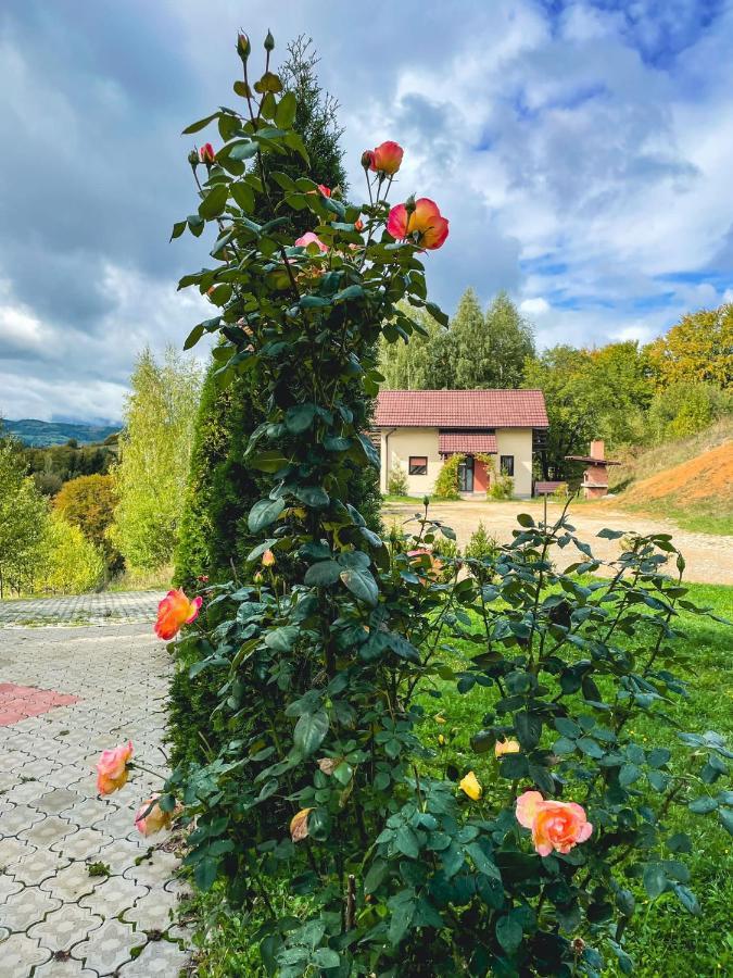 Cabana 7 Brazi Poiana Mărului Eksteriør bilde