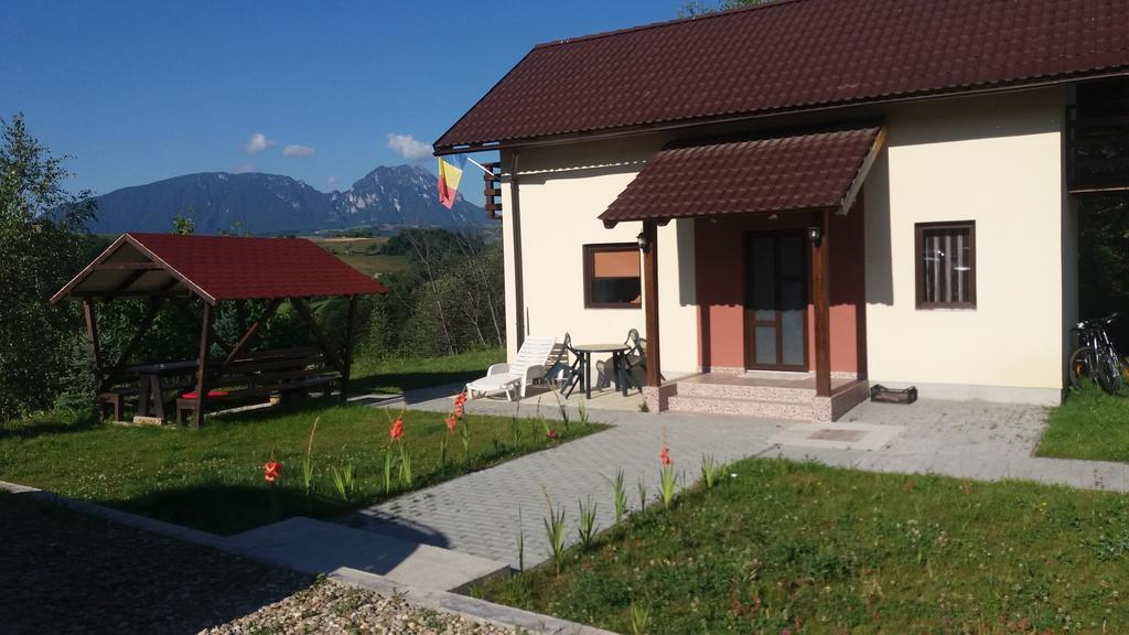 Cabana 7 Brazi Poiana Mărului Eksteriør bilde