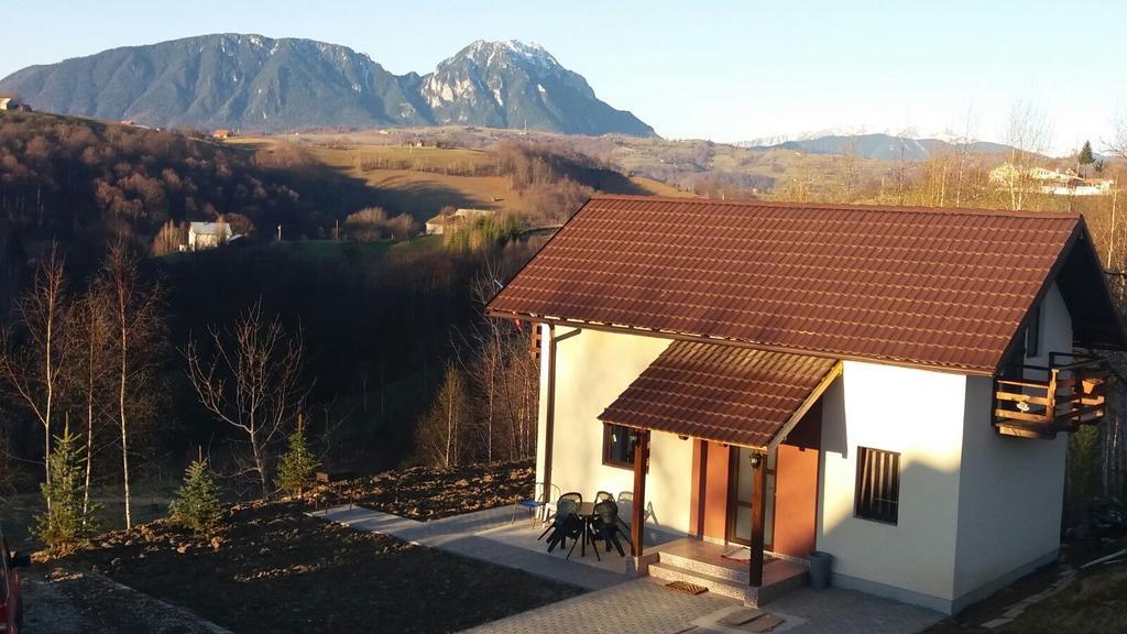 Cabana 7 Brazi Poiana Mărului Eksteriør bilde