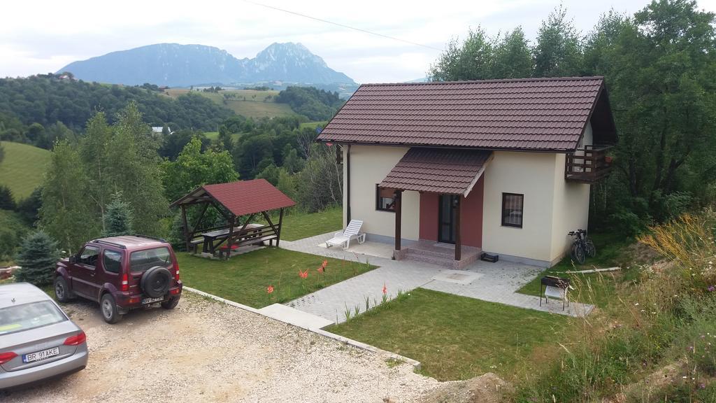 Cabana 7 Brazi Poiana Mărului Eksteriør bilde